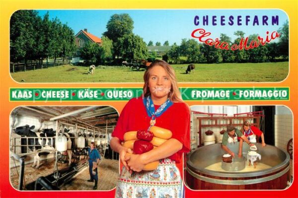 Kaese Kaeserei Cheesefarm Clara Maria Amstelveen