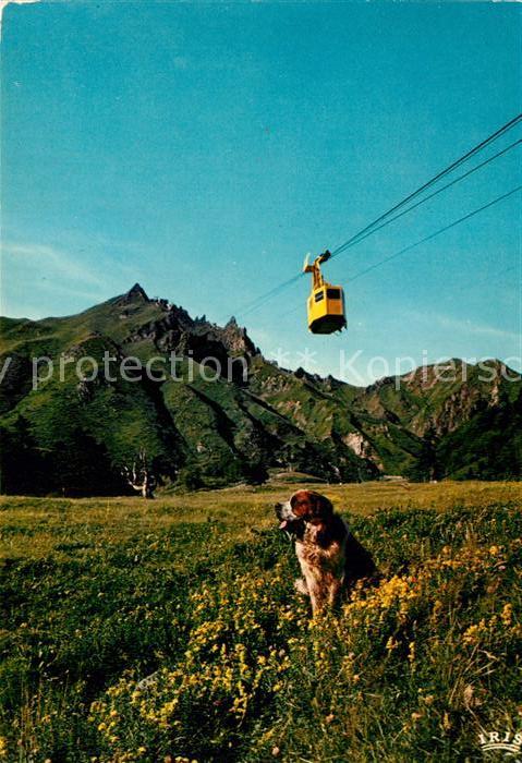Seilbahn Bernhardiner Auvergne Le Sancy