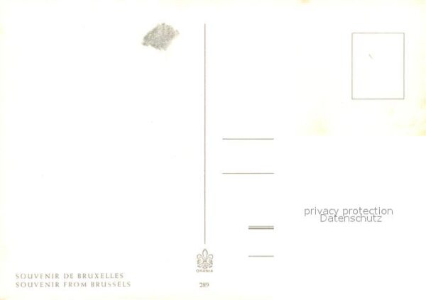 Handarbeit Klöppeln Spitze Bruxelles – Bild 2