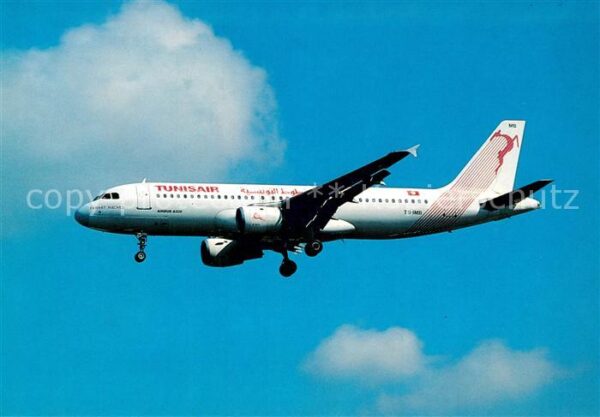 Flugzeuge Zivil Tunisair Airbus A 320-211 TS-IMB