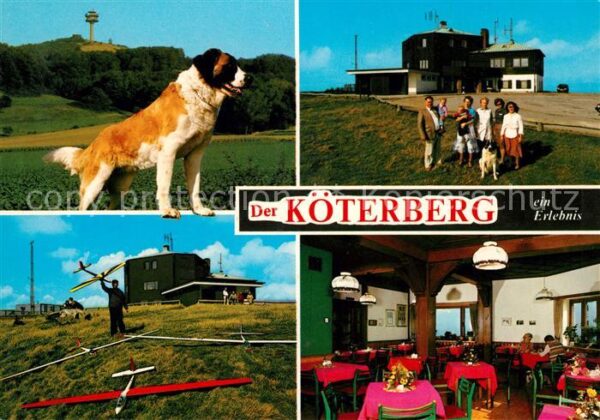 Koeterberg Berghotel Gaststätte Bernhardiner Hund