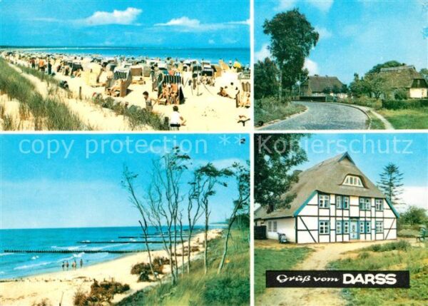 Darss Region Ostsee Ostseebad Prerow Strand Weststrand Born