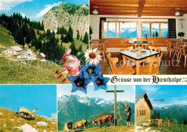 Oberjoch Hirschalpe Gaststube Gemsen Gipfelkreuz