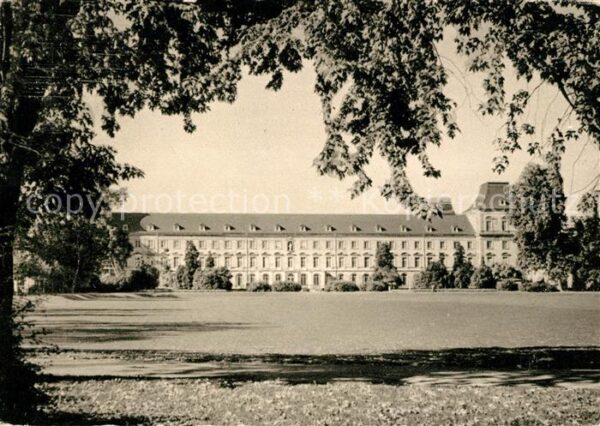 Bonn Rhein Universität