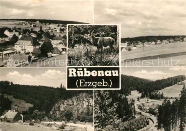 Ruebenau Panorama