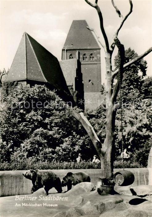 Berlin Berliner Stadtbären Am Märkischen Museu