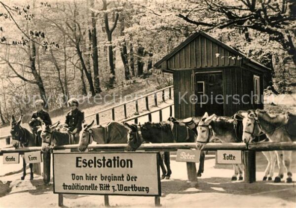 Eisenach Thueringen Eselstation
