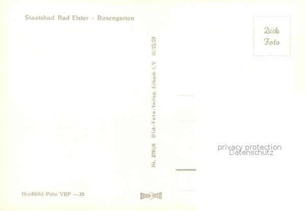 Bad Elster Rosengarten – Bild 2