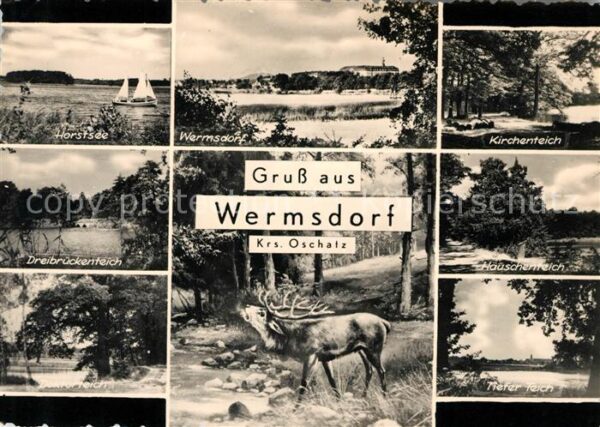 Wermsdorf Horstsee Panorama Kirchenteich Dreibrüc
