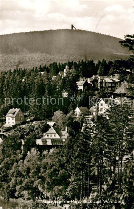 Braunlage Blick zum Wurmberg