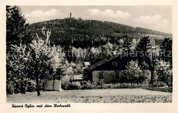 Oybin Panorama Hochwald