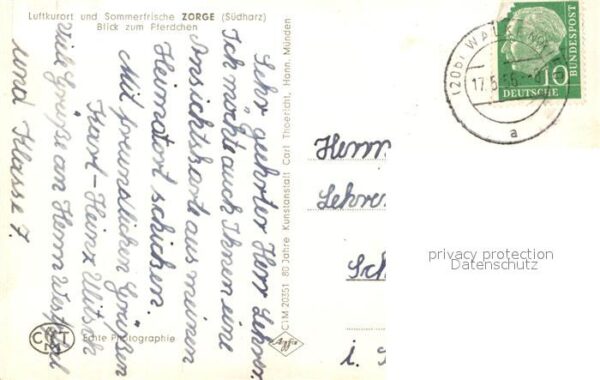 Zorge Pferdchen – Bild 2