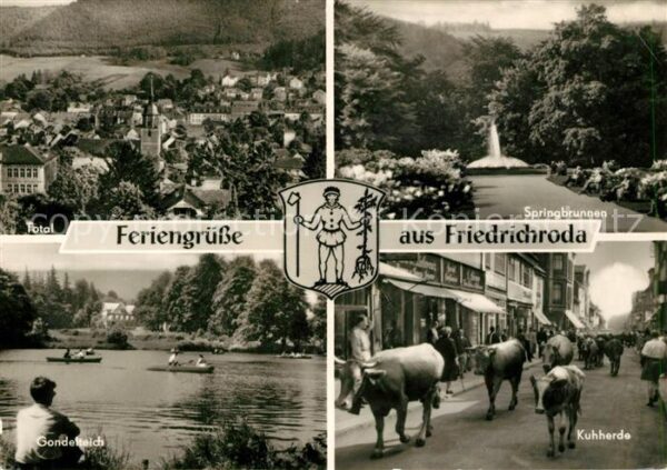 Friedrichroda Springbrunnen Kuhherde Gondelteich