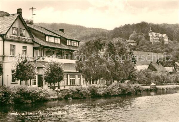 Ilsenburg Harz Forellenteich