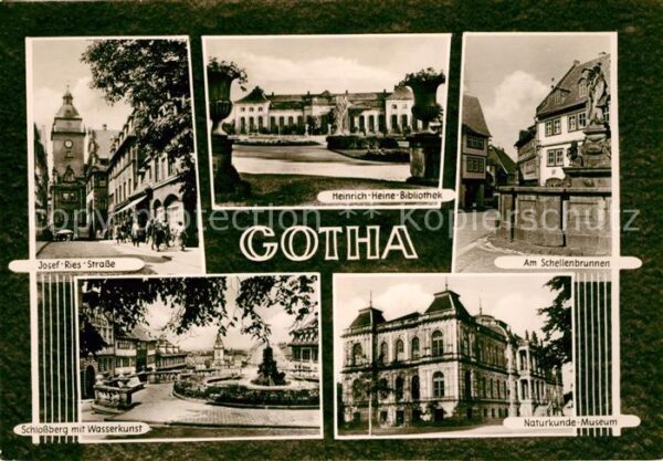 Gotha Thueringen Schlossberg Naturkundemuseum Schellenbr