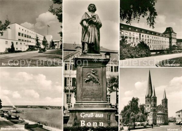 Bonn Rhein Bundeshaus Universität Rheinpromenade M
