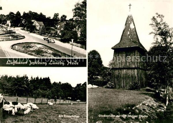 Jesteburg Park Glockenturm Rüsselkäfer