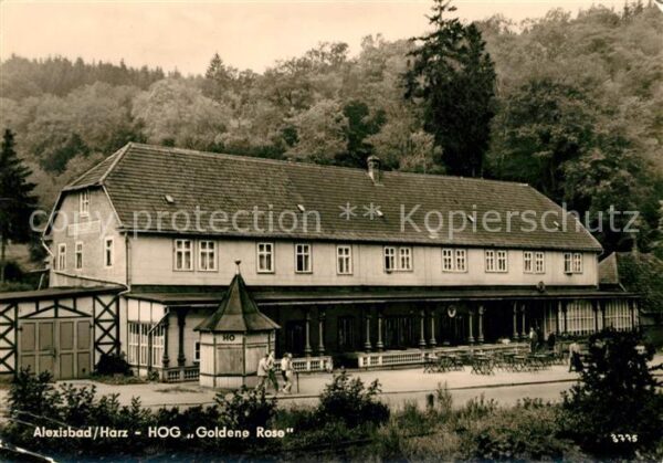 Alexisbad Harz HOG Goldene Rose
