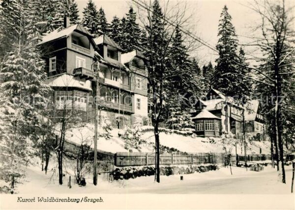 Waldbaerenburg Winterlandschaft