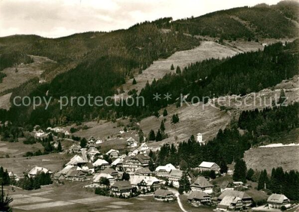 Menzenschwand Panorama