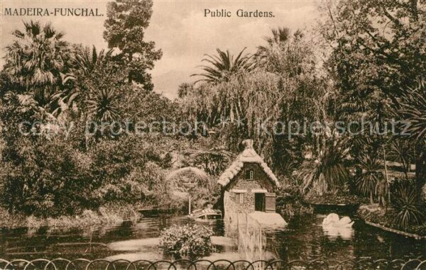 Funchal Volksgarten