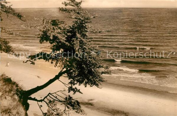 Bansin Ostseebad Blick vom Steilufer