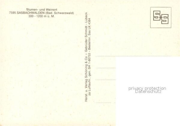 Sasbachwalden Fliegeraufnahme – Bild 2
