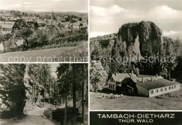 Tambach-Dietharz Panorama Waldweg Ferienheim