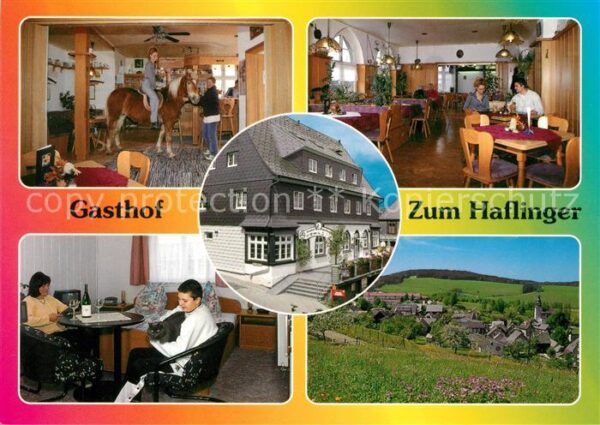 Meura Pferd im Gasthof Zum Haflinger Gaststub