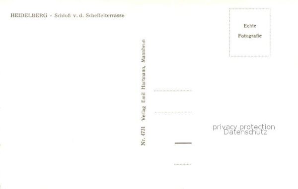 Heidelberg Neckar Schloss Scheffelterrasse – Bild 2