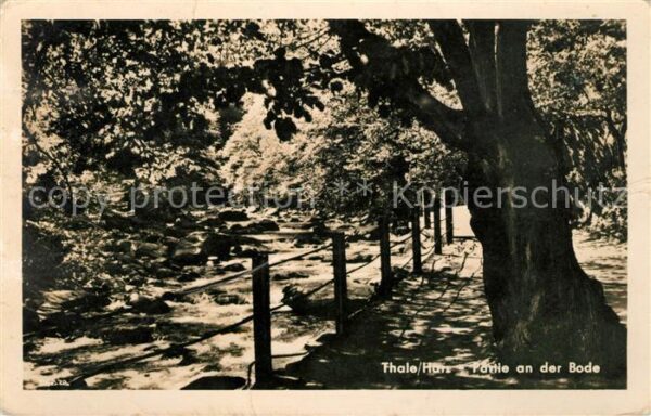 Thale Harz Bodepartie