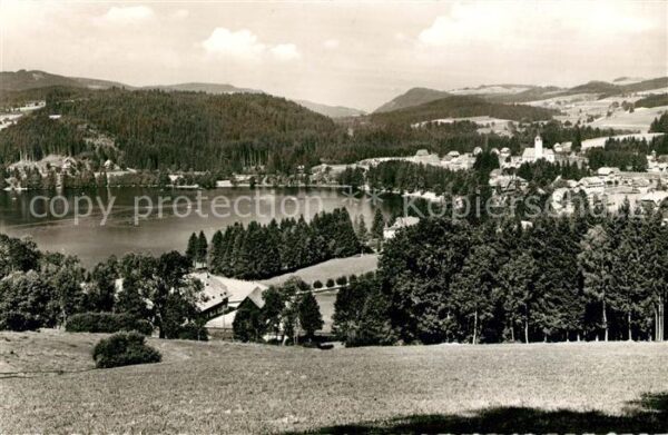 Titisee Panorama