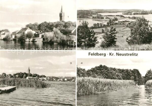Feldberg Mecklenburg Bad Am Haussee Blick vom Hüttenberg Seerose