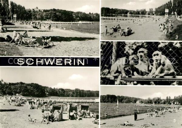 Schwerin Mecklenburg Strand Zippendorfer Bucht Java Affen im