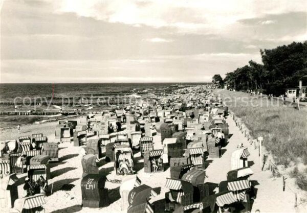 Kuehlungsborn Ostseebad Strand