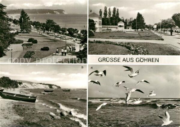 Goehren Ruegen Promenade Südstrand Möwen