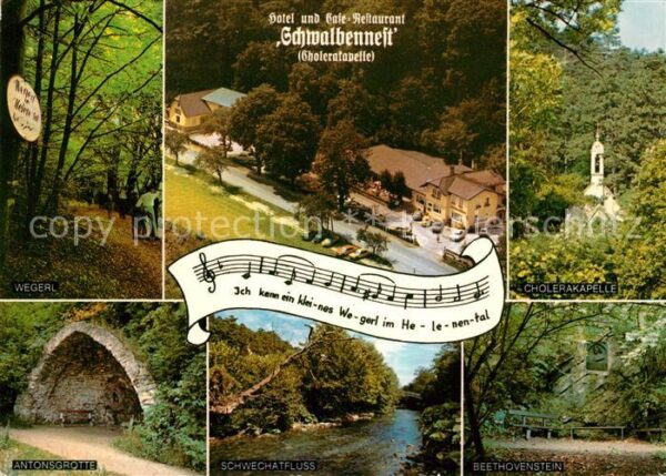Baden Wien Hotel Restaurant Schwalbennest