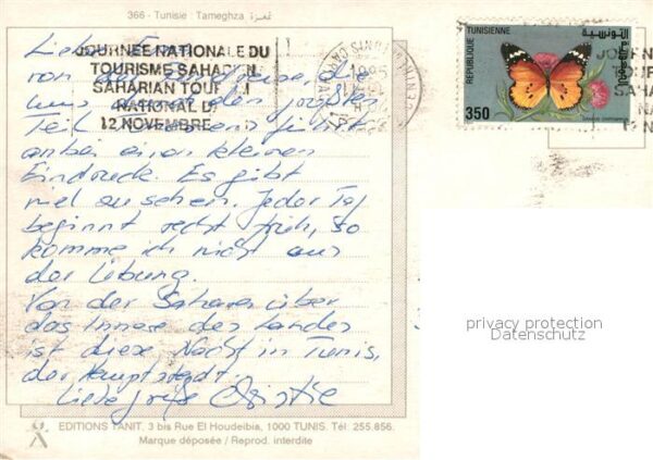 Tamerza Oase – Bild 2