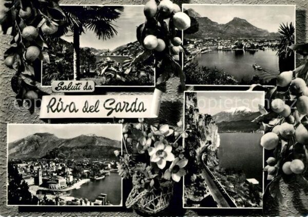 Riva del Garda Zitronen Panoramen