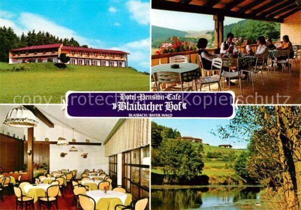 Blaibach Hotel Pension Blaibacher Hof Terrasse S