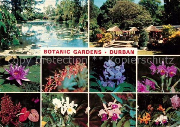 Durban South Africa Botanic Gardens Seerosenteich Pavillons