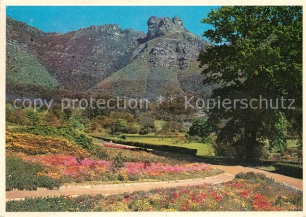 Cape Peninsula Kirstenbosch Gardens