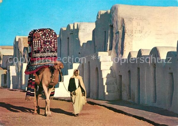 Ksar Debbab Touristendorf Kameltreiber