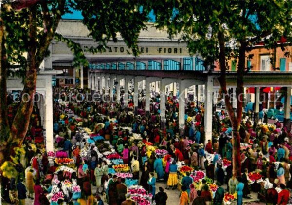 Ventimiglia Liguria Blumenmarkt
