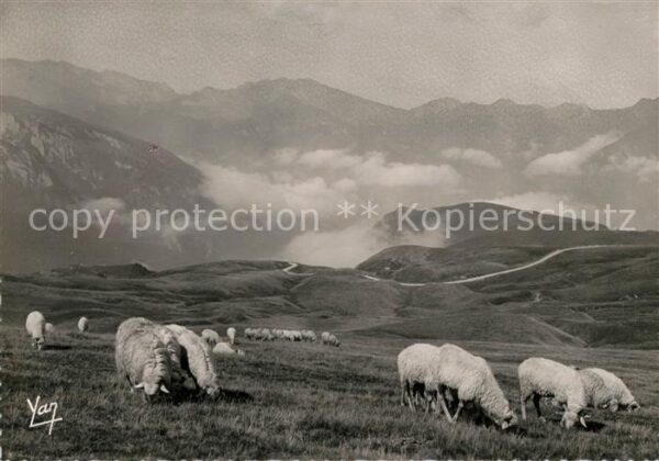 Paturages au Col d’Aubisque et montagnes des Eaux