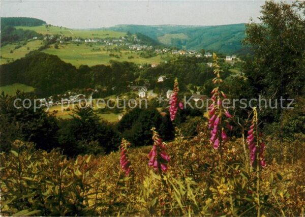 Dedenborn Panorama