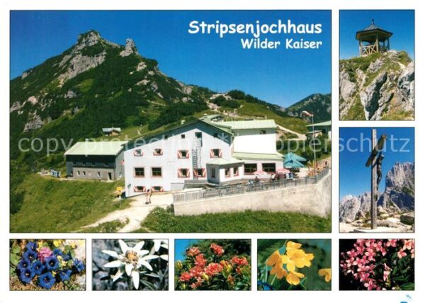 Stripsenjochhaus Wilder Kaiser Enzian Edelweiß Azaleen S
