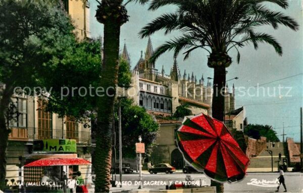 Palma de Mallorca Paseo de Sagrer Catedrale