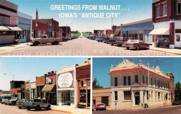 Walnut Iowa Antique Collector Dream