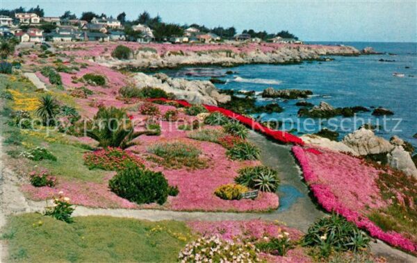 Monterey California Lovers Point